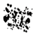 Asteroiden